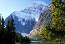 开云体育中国-世界网球队轻取美国网球队，德约科维奇打破历史纪录的辉煌瞬间