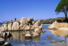 开云体育入口-雄鹿B队爆冷马刺，萨博尼斯爆发神勇